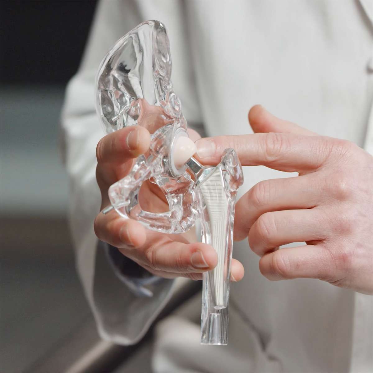 Model of total hip replacement